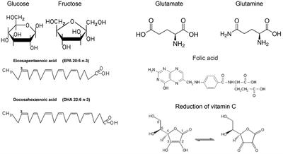 The role of different nutrients in the prevention and treatment of cardiovascular diseases